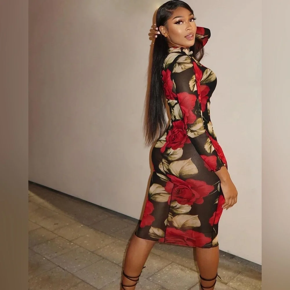 The seductive Rose dress - Picture 6 of 7